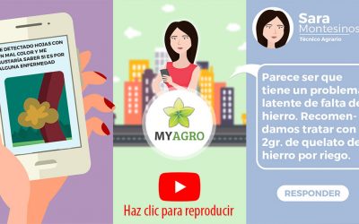 Vídeo- Presentación del SIATCA