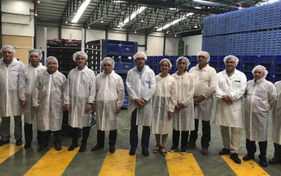 La política fitosanitaria de la Región de Murcia en uva de mesa obtiene el visto bueno de la delegación vietnamita