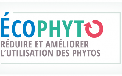 Reducir a la mitad el uso de fitosanitarios en 2025, objetivo de Francia