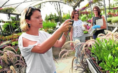 La Xylella Fastidiosa no afecta a la Región de Murcia