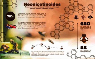 CSIC – Los insecticidas neonicotinoides pueden perjudicar a insectos beneficiosos a través de la mielada
